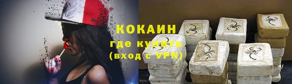 твердый Козловка