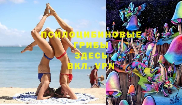 ешки Кодинск