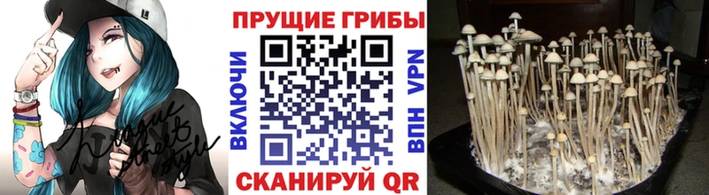 Галлюциногенные грибы ЛСД  Купить где  Нюрба 